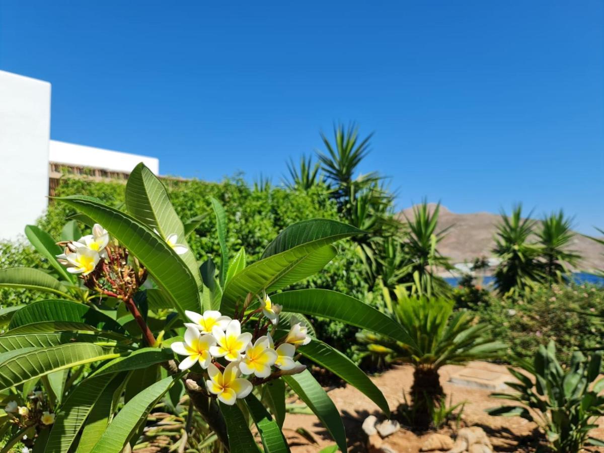 Tilos Villa Livadia  Luaran gambar